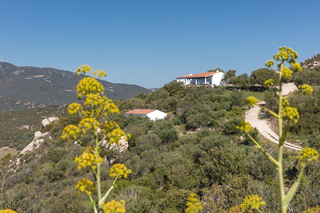 Agriturismo Cabu Abbas Villa Олбия Екстериор снимка